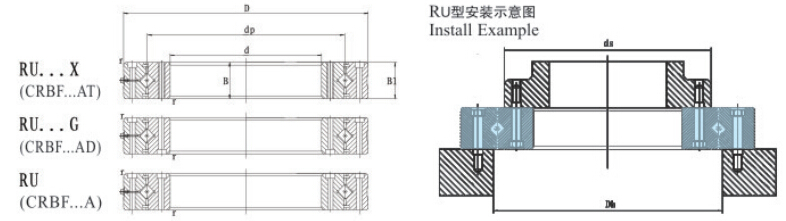 草莓视频成人APP免费